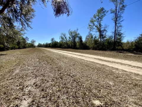 Vacant SE Olustee Drive, Lee, FL 32059 photo 2
