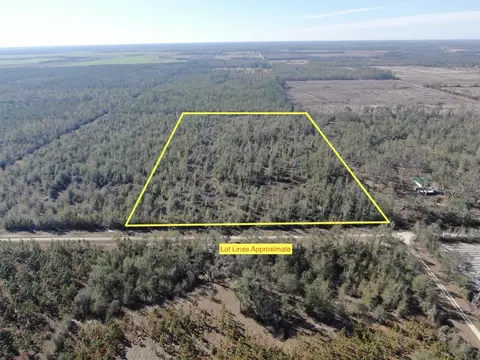 Vacant SE Olustee Drive, Lee, FL 32059 photo 8