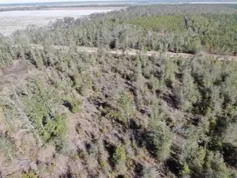 Vacant SE Olustee Drive, Lee, FL 32059 photo 18