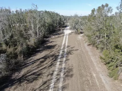 Vacant SE Olustee Drive, Lee, FL 32059 photo 10