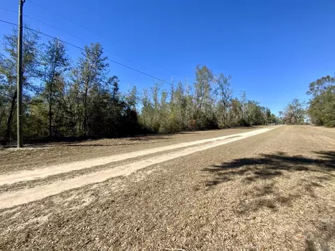 Vacant SE Olustee Drive, Lee, FL 32059 photo 3