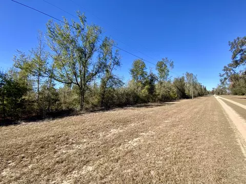 Vacant SE Olustee Drive, Lee, FL 32059 photo 4