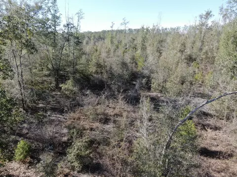 Vacant SE Olustee Drive, Lee, FL 32059 photo 26