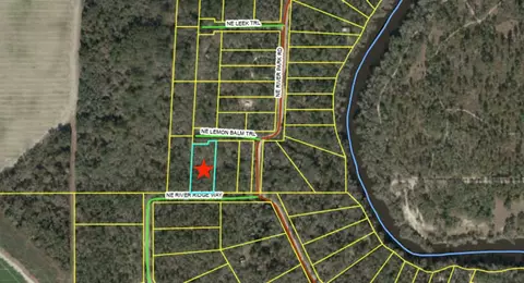 Vacant NE River Ridge Way, Lee, FL 32059