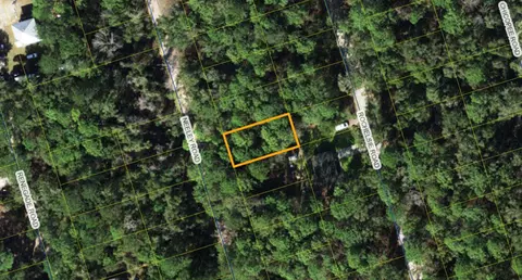 Nn Neeley Road, Crawfordville, FL 32327