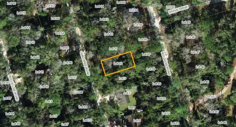 Nn Chicopee Road, Crawfordville, FL 32327