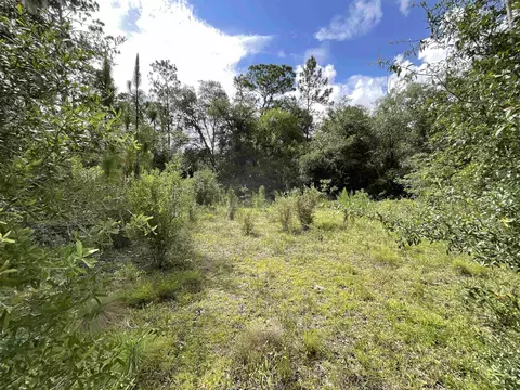 Vacant *Lot 58* NE Blackjack Loop #1, Lee, FL 32059 photo 18
