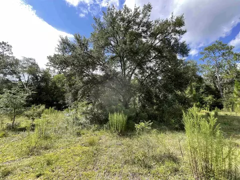 Vacant *Lot 58* NE Blackjack Loop #1, Lee, FL 32059 photo 17