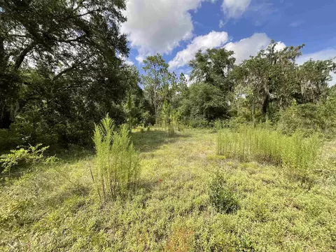 Vacant *Lot 58* NE Blackjack Loop #1, Lee, FL 32059 photo 9