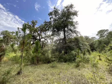 Vacant *Lot 58* NE Blackjack Loop #1, Lee, FL 32059 photo 10