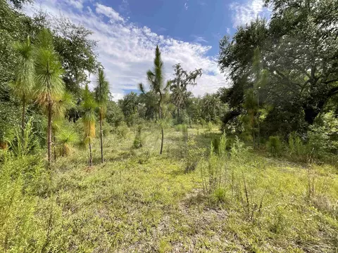 Vacant *Lot 58* NE Blackjack Loop #1, Lee, FL 32059 photo 3