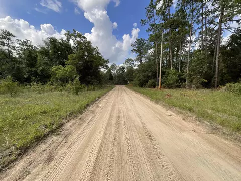 Vacant *Lot 58* NE Blackjack Loop #1, Lee, FL 32059 photo 4