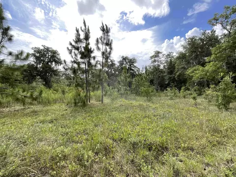 Vacant *Lot 58* NE Blackjack Loop #1, Lee, FL 32059 photo 2