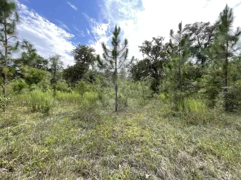 Vacant *Lot 58* NE Blackjack Loop #1, Lee, FL 32059 photo 12