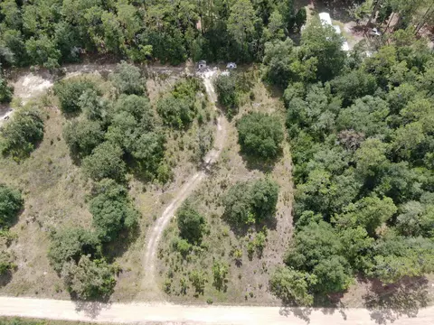 Vacant *Lot 58* NE Blackjack Loop #1, Lee, FL 32059