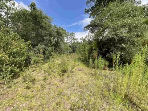 Vacant *Lot 58* NE Blackjack Loop #1, Lee, FL 32059 photo 16