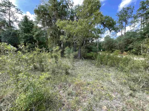 Vacant *Lot 58* NE Blackjack Loop #1, Lee, FL 32059 photo 15