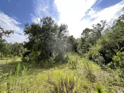 Vacant *Lot 58* NE Blackjack Loop #1, Lee, FL 32059 photo 14