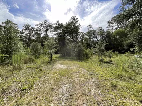 Vacant *Lot 58* NE Blackjack Loop #1, Lee, FL 32059 photo 11