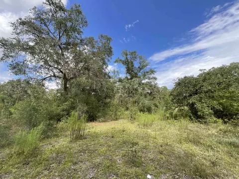 lot57 NE Vacant Ne Blackjack Loop #1, Lee, FL 32059 photo 3