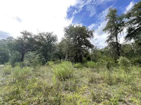 lot57 NE Vacant Ne Blackjack Loop #1, Lee, FL 32059 photo 19