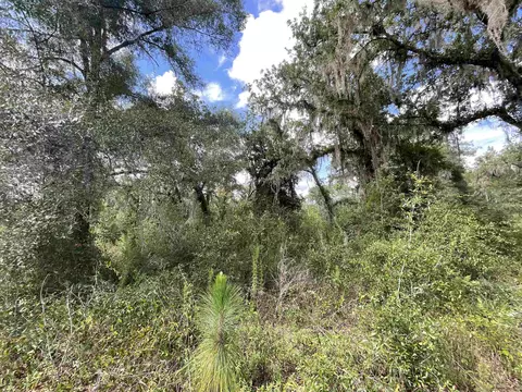 lot57 NE Vacant Ne Blackjack Loop #1, Lee, FL 32059 photo 14