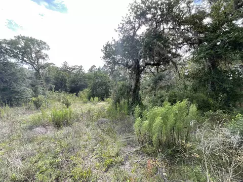 lot57 NE Vacant Ne Blackjack Loop #1, Lee, FL 32059 photo 18