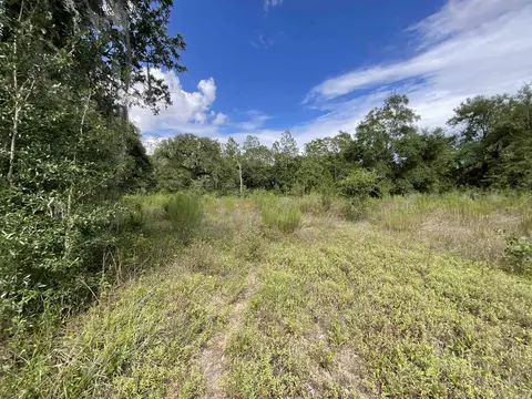 lot57 NE Vacant Ne Blackjack Loop #1, Lee, FL 32059 photo 10