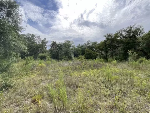 lot57 NE Vacant Ne Blackjack Loop #1, Lee, FL 32059 photo 20