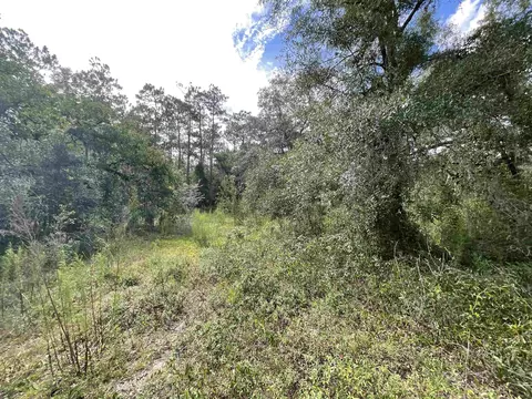 lot57 NE Vacant Ne Blackjack Loop #1, Lee, FL 32059 photo 16