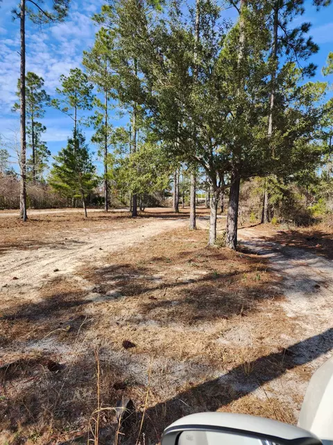 Nnn NW Sr 20, Bristol, FL 32321