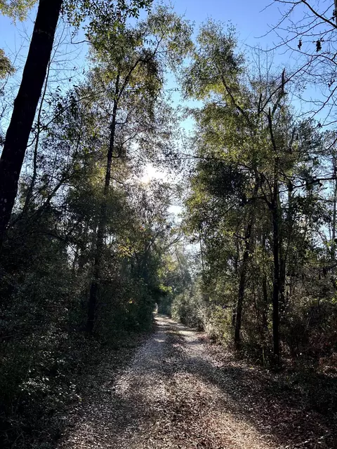 Nn Old Revell Road, Crawfordville, FL 32327