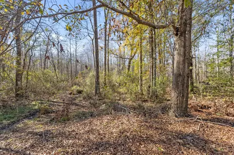 Exterior - 370 Brown Rd, Lamont, FL 32336 photo 6 of 9