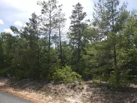 0 Central Rd, Midway, FL 32343 photo 4