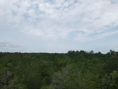 0 Central Rd, Midway, FL 32343 photo 10