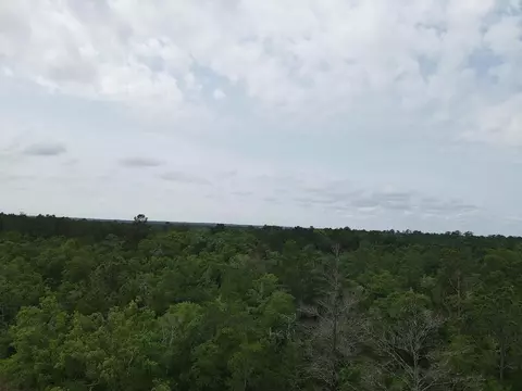 0 Central Rd, Midway, FL 32343 photo 11