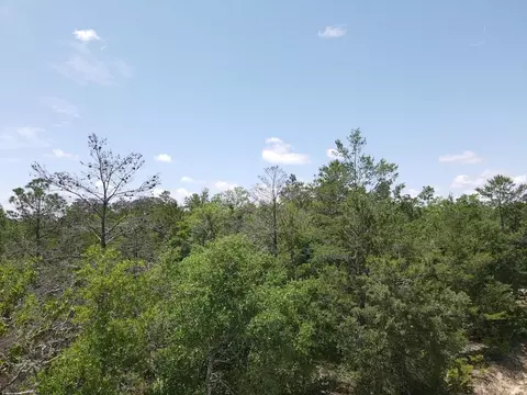 0 Central Rd, Midway, FL 32343 photo 6