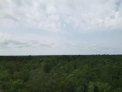 0 Central Rd, Midway, FL 32343 photo 9