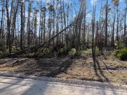 18825 Key Deer Ct, Perry, FL 32348 photo 6