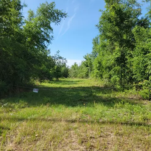 Vacant 20 Ac SE Parliament Trail, Lee, FL 32059