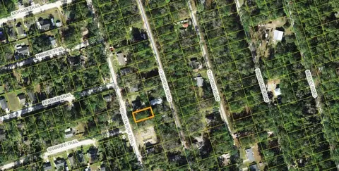 Nn Broken Bow, Crawfordville, FL 32327
