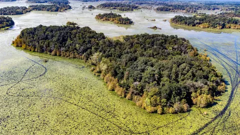 Nnnn Lake Iamonia Islands Island, Tallahassee, FL 32312