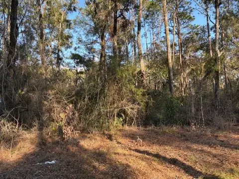 Nn Renegade Road, Crawfordville, FL 32327