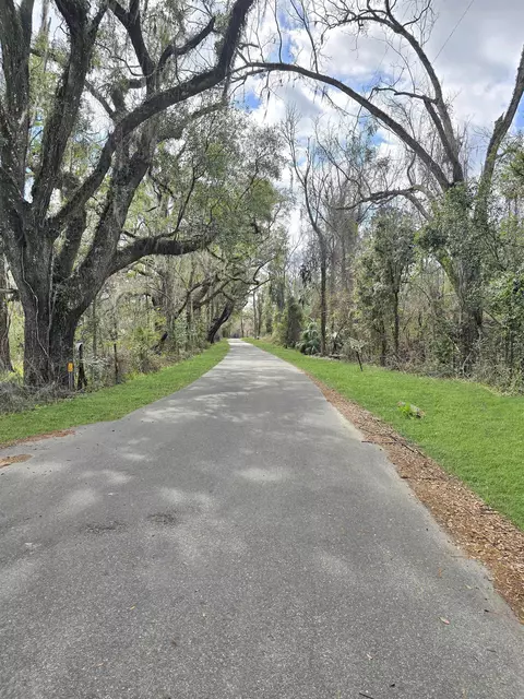 434 Alexander Rd, Lamont, FL 32336 photo 20