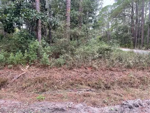 Nnn Chipola Street, Panacea, FL 32346
