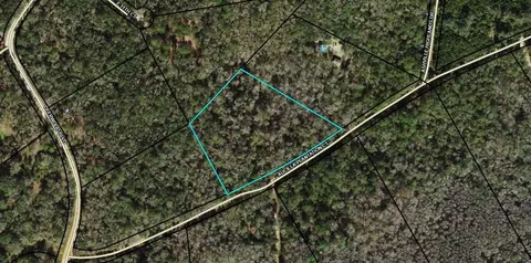 tbd Aucilla Plantation Ct, Greenville, FL 32331