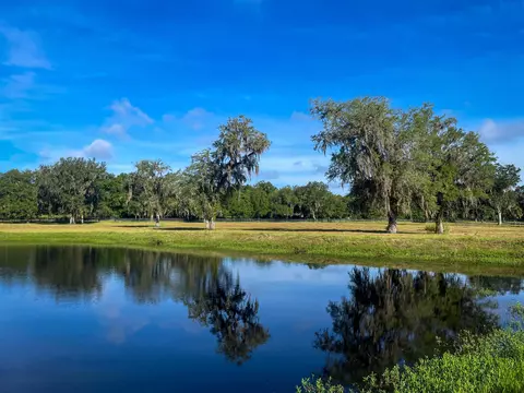 3920 Bill Carlton Rd, Perry, FL 32347 photo 32
