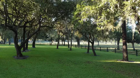 3920 Bill Carlton Rd, Perry, FL 32347 photo 33