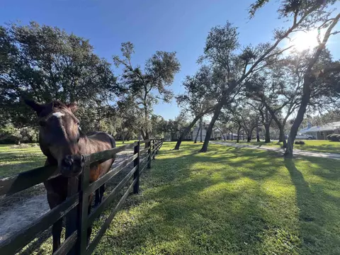 3920 Bill Carlton Rd, Perry, FL 32347 photo 30