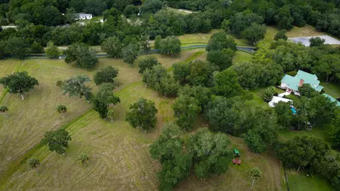 3920 Bill Carlton Rd, Perry, FL 32347 photo 22
